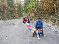 Náhled pro zelení v 